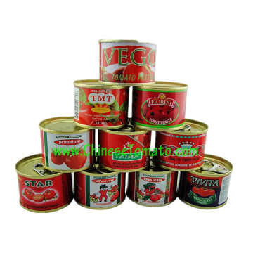 Tomato Paste Processing Plant-OEM Brand